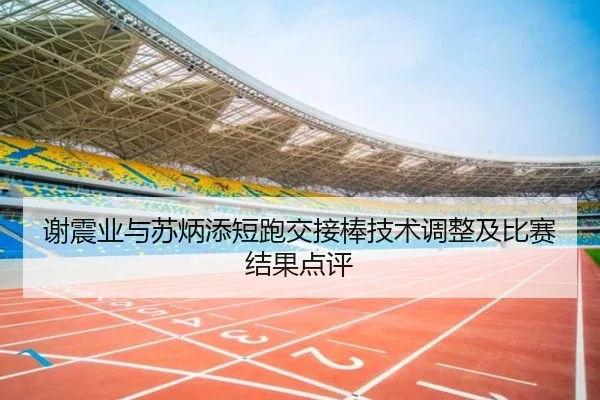 谢震业与苏炳添短跑交接棒技术调整及比赛结果点评